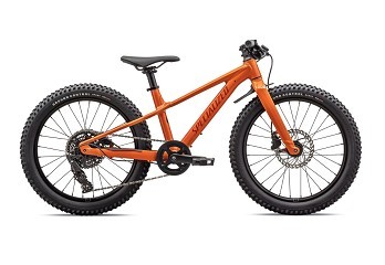 ВЕЛОСИПЕД 20 SPECIALIZED RIPROCK AMBRGLW