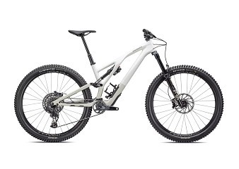 ВЕЛОСИПЕД 29 SPECIALIZED SJ EVO EXPERT BRCH TPE